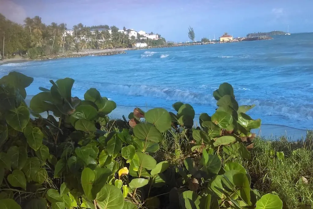 La Kaz Du Lagon Le Gosier  Guadeloupe